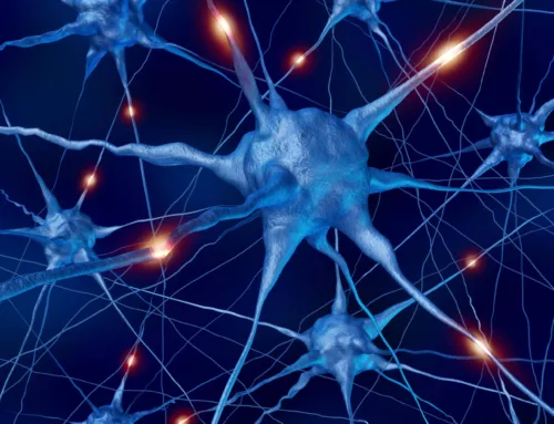 Understanding Neuroplasticity: The Key to Brain Improvement