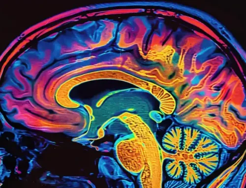 Optimizing Brain Function Through Cognitive Testing and qEEG Mapping